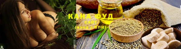 дживик Лагань