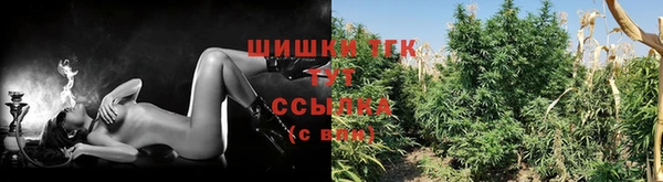 дживик Лагань