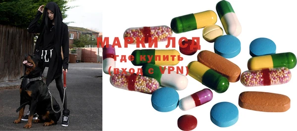 ECSTASY Ладушкин