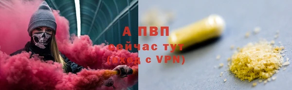 ECSTASY Ладушкин