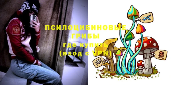 ECSTASY Ладушкин