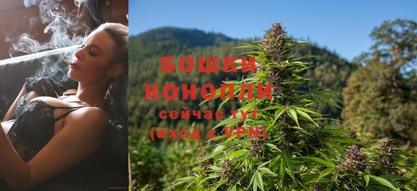 ECSTASY Ладушкин