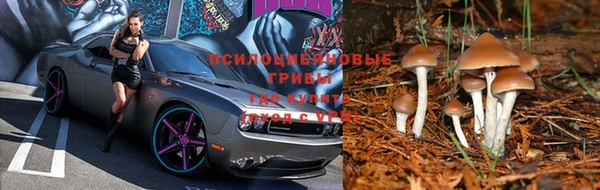 ECSTASY Ладушкин