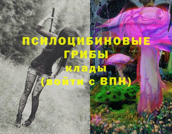 дживик Лагань