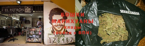 ECSTASY Ладушкин