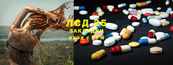 дживик Лагань