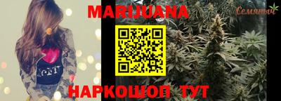 шишки Аргун