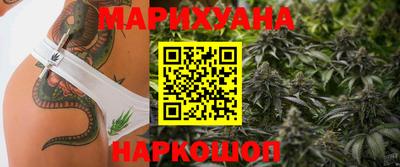 шишки Аргун