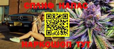 шишки Аргун
