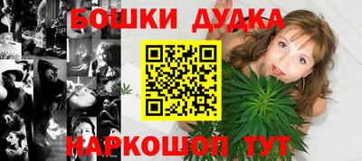 шишки Аргун
