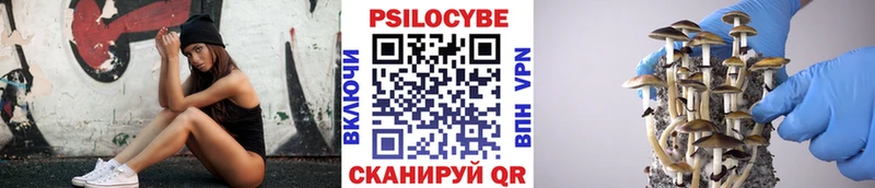 дарнет шоп Батайск Галлюциногенные грибы мицелий