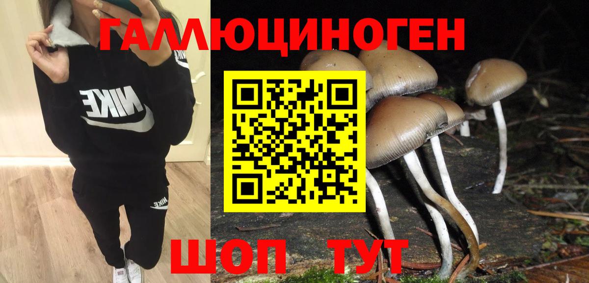 Псилоцибиновые грибы Magic Shrooms  Галлюциногенные грибы Psilocybine cubensis  Батайск 